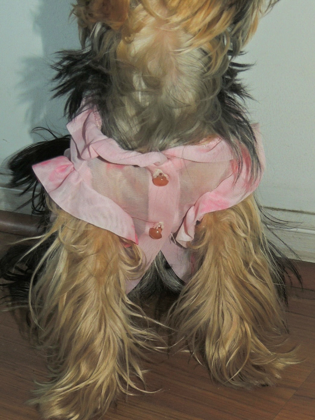 Puppy pink blossom