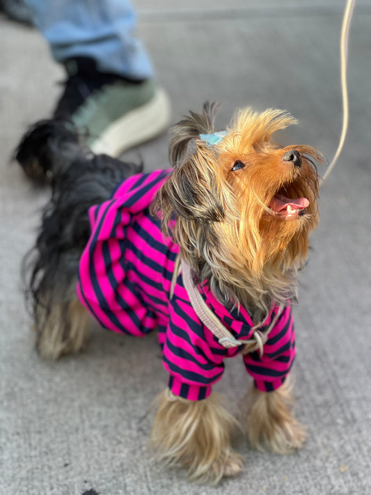 Puppy pink & blue