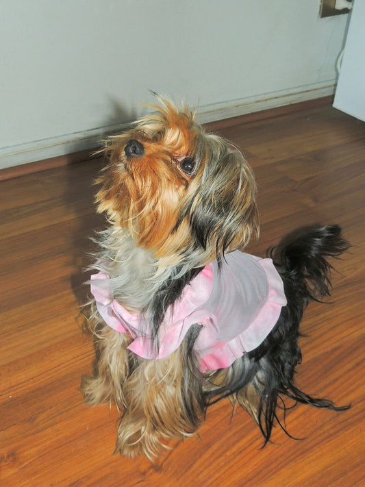 Puppy pink blossom