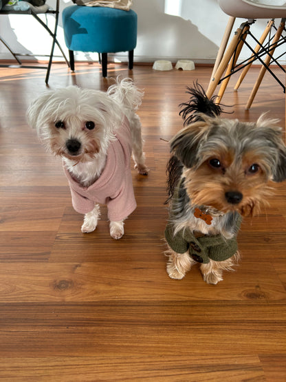 Puppy Twins