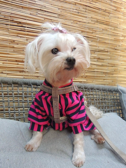 Puppy pink & blue